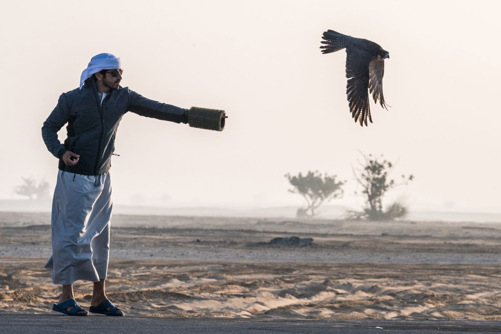 Fazza-Championship-for-Falconry-Telwah